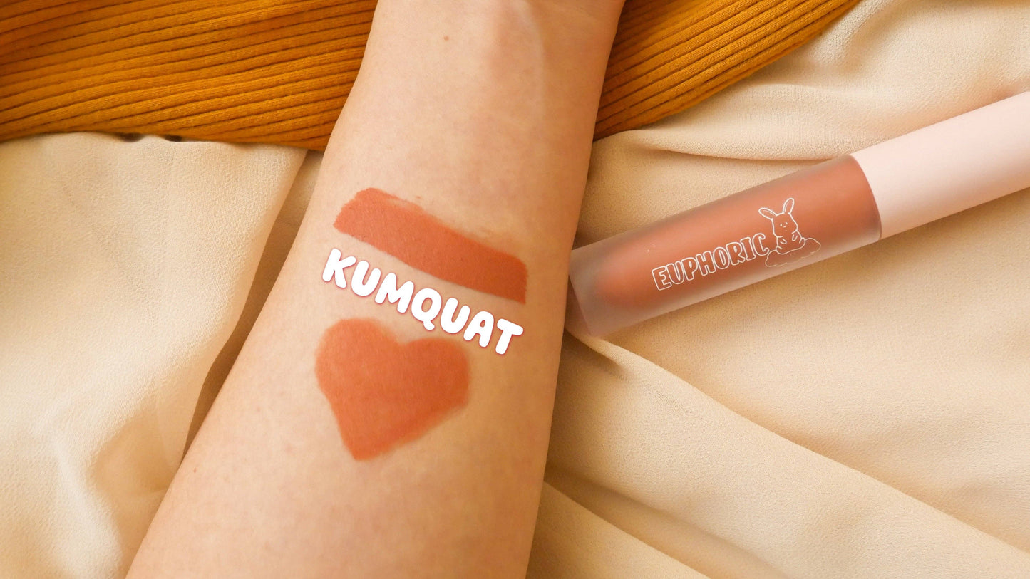 Velvet Matte Lip Tints: Bundle of all 10